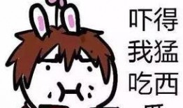 好奇害死猫吃瓜,揭秘吃瓜群众的狂欢与风险