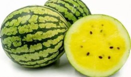 吃瓜吃到自己老家,一场意外的家乡之旅