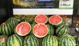 五六吃瓜网,五六吃瓜网带你领略吃瓜界的风云变幻