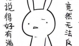 带你吃瓜的奇葩题,带你吃瓜的奇葩题背后的趣味与智慧