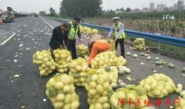 许昌学院吃瓜事件,校园风波背后的真相探寻