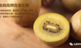 金果妈妈吃的瓜,金果妈妈与美味瓜果的甜蜜邂逅