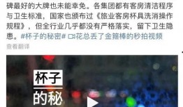 追星吃瓜纪录片,揭秘追星文化中的吃瓜真相