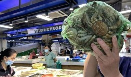 理发店吃瓜浙江,揭秘背后真相与网络舆论风暴