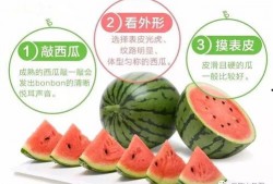 满岁吃瓜,揭秘成长中的甜蜜与苦涩