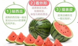 满岁吃瓜,揭秘成长中的甜蜜与苦涩