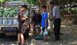 新沂吃瓜群众事件,一场网络舆论的风暴与反思