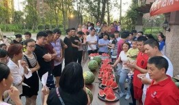 社区吃瓜大赛,一场全民参与的吃瓜盛宴