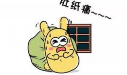 吃瓜群众学弟,揭秘校园里的“瓜田”趣事