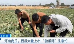 吃瓜自己变成瓜撞护栏,意外成瓜撞护栏的惊险瞬间