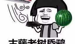 吃瓜群众喜欢什么