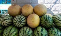 大的瓜怎么吃最好,轻松解锁最佳食用技巧