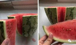 我爱发明吃瓜,揭秘吃瓜背后的科技与创新