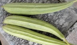 专业吃瓜13年,揭秘娱乐圈幕后真相