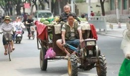 摆摊吵架吃瓜,摆摊吵架吃瓜成热门话题