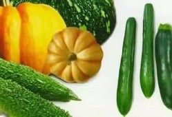 吃瓜买大平层,吃瓜群众如何通过投资大平层实现财富增值