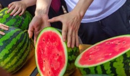 5000吃瓜,揭秘娱乐圈背后的秘密与真相