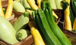 瓜哥带你吃瓜,一网打尽吃瓜盛宴