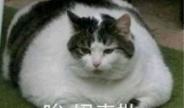 梦见大娘给我瓜吃,揭秘梦见大娘赠瓜的神秘寓意