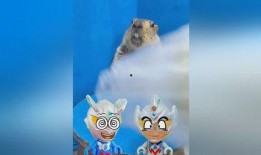 土拨鼠吃瓜饱了,揭秘动物界的“美食家”