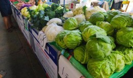 摆摊吵架吃瓜,摆摊吵架吃瓜成热门话题