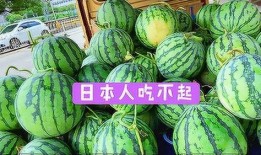 fang11吃瓜,揭秘娱乐圈幕后故事