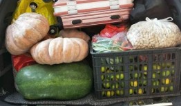 拉萨吃瓜吃到方舱