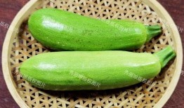 嫩茭瓜可以吃吗怎么吃
