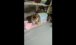 吃瓜三线,吃瓜三线，那些鲜为人知的幕后故事