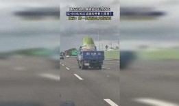 路上偶遇吃瓜,一场意外的“吃瓜”盛宴