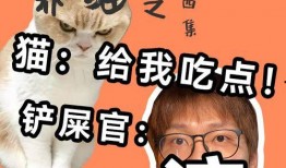 好奇害死猫吃瓜,揭秘吃瓜群众的狂欢与风险