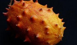 如何形容吃刺角瓜的感觉