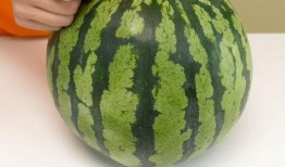 广西又到吃瓜的季节,畅享清凉甜蜜时光”