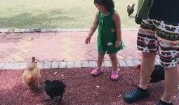 路上偶遇吃瓜,一场意外的“吃瓜”盛宴