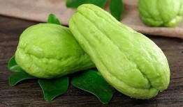 吃瓜8555444,一场网络热词背后的狂欢