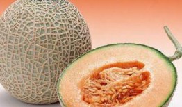 白夜吃哈密瓜好吗,一场甜蜜的味蕾之旅