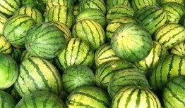 吃瓜上哪里找,带你领略网络热点的魅力