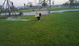 公园长椅吃瓜out,夏日休闲新风尚