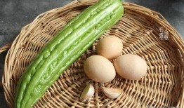 遗忘吃瓜,揭秘遗忘背后的真相