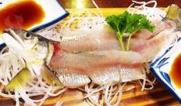 吃瓜鱼多多,揭秘网络红人的幕后故事