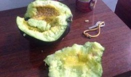 瓜白瓤怎么吃,解锁健康美味新选择