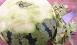 吃瓜条暗示什么,揭示娱乐圈的隐秘世界