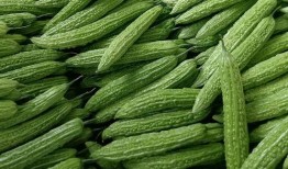 市里吃瓜,揭秘本地吃瓜群众的日常娱乐生活