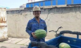 奇葩电梯吃瓜群众,吃瓜群众围观，揭秘电梯里的“疯狂一幕”