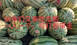 吃瓜各种大瓜爆料