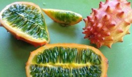 如何形容吃刺角瓜的感觉