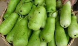 婴儿吃葫芦瓜,助力宝宝健康成长