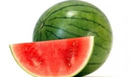 周大萌吃瓜地址,一场娱乐圈的狂欢盛宴