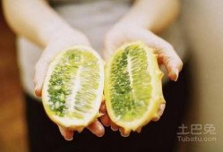 如何形容吃刺角瓜的感觉