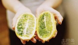 如何形容吃刺角瓜的感觉